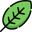 Feuille verte